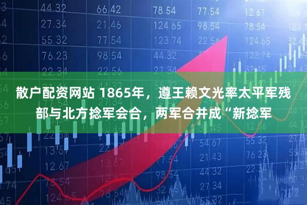 散户配资网站 1865年，遵王赖文光率太平军残部与北方捻军会合，两军合并成“新捻军